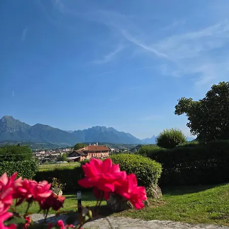 The Lp * Feltre