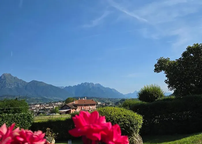 The Lp * فيلتري